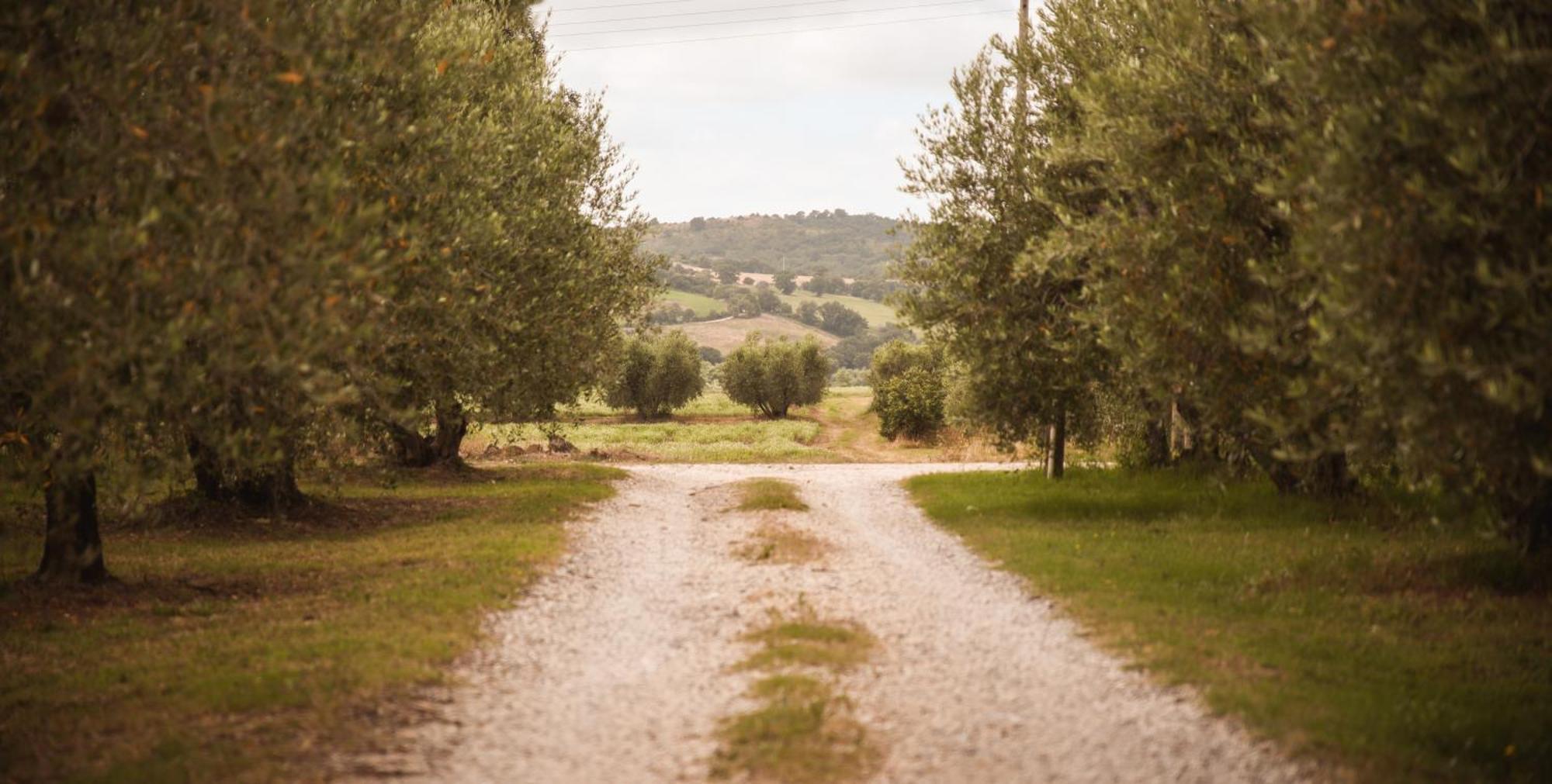 Agriturismo Poggio Alle Calle Saturnia Buitenkant foto